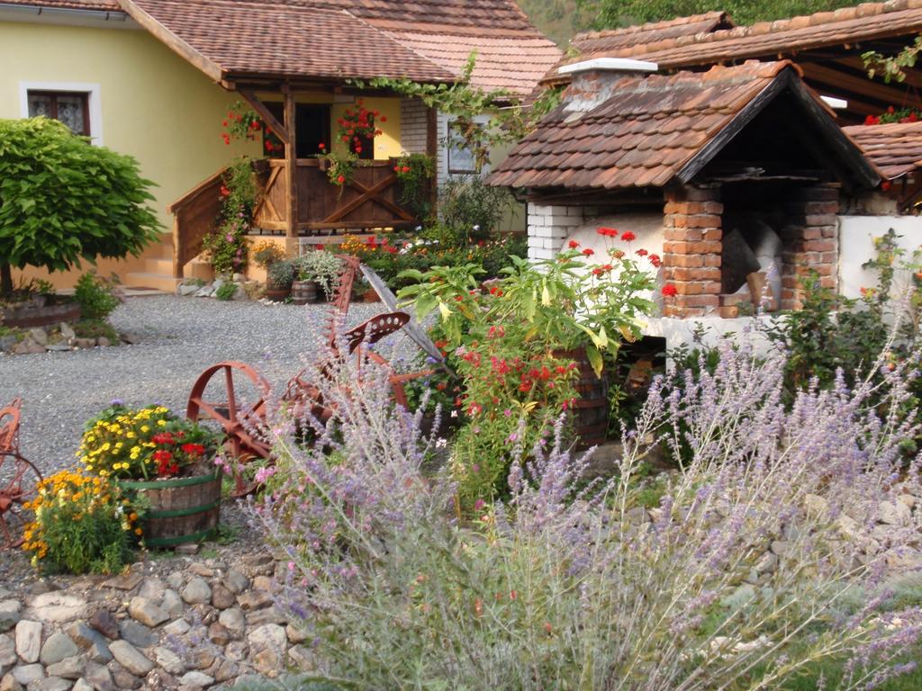 Country House Stara Kapela Nova Kapela Dış mekan fotoğraf