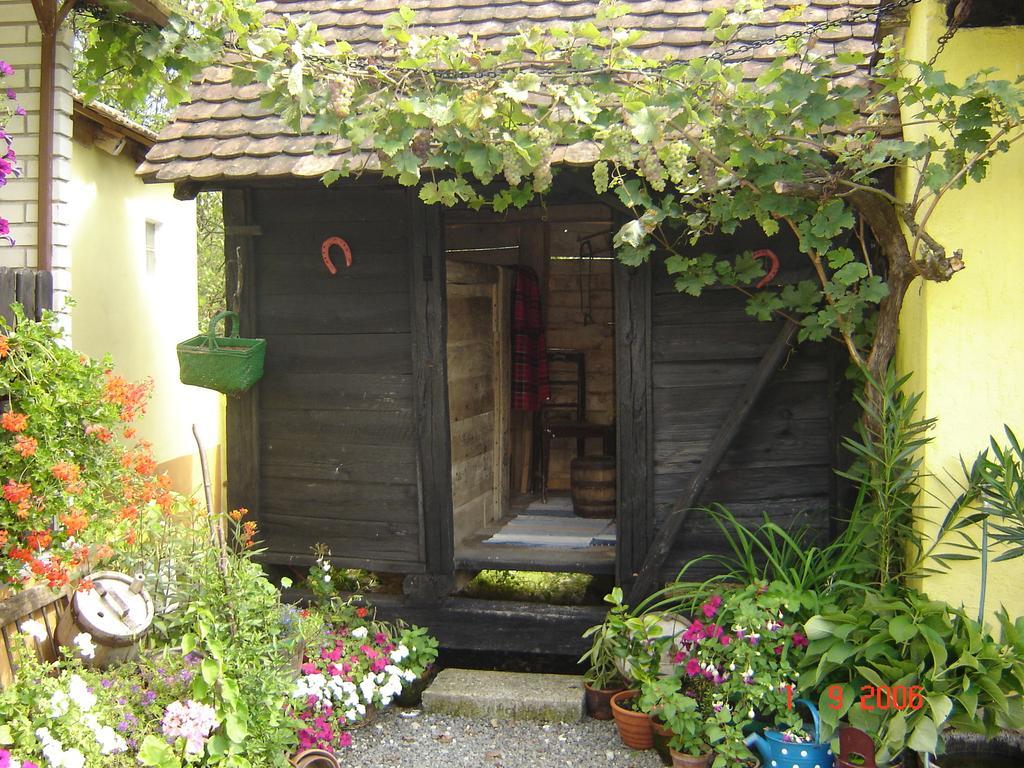 Country House Stara Kapela Nova Kapela Dış mekan fotoğraf
